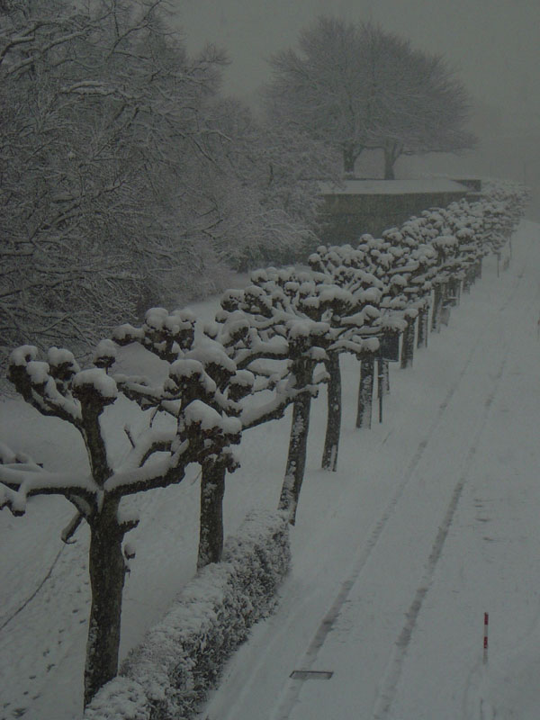 schnee (08)