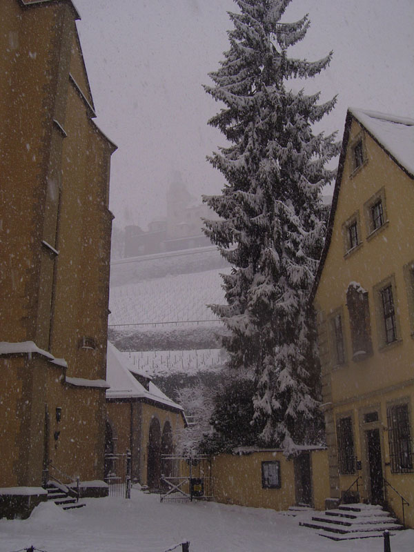 schnee (10)
