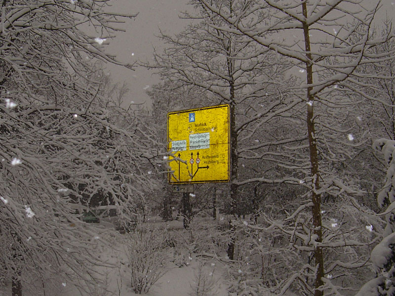 schnee (13)
