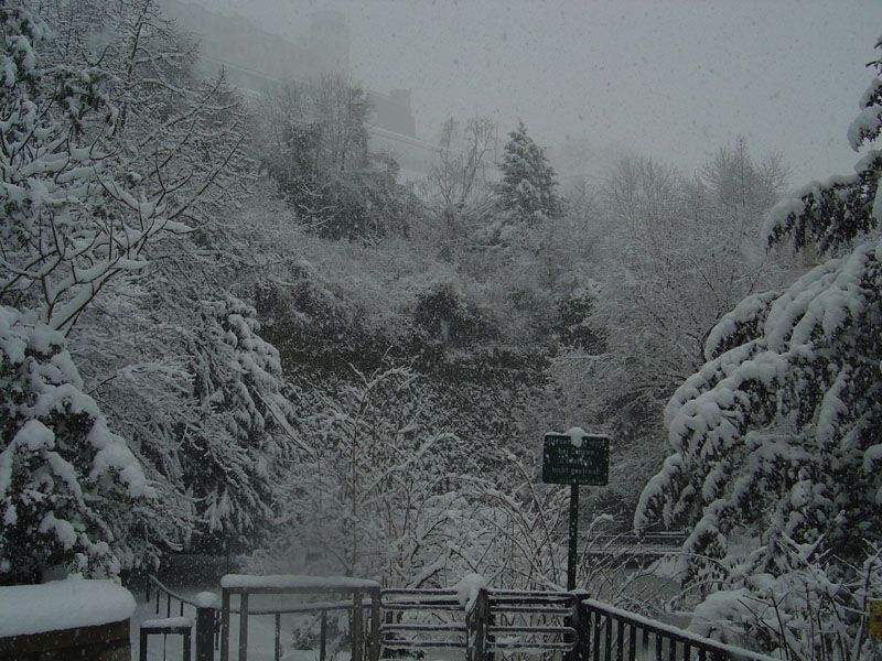 schnee (14)