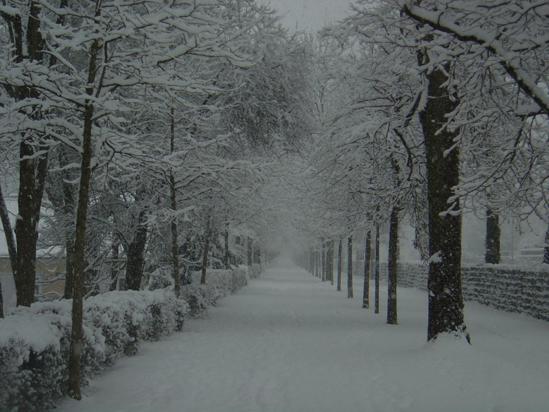 schnee (16)