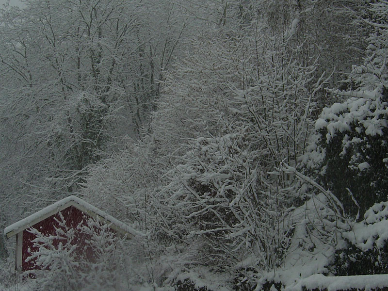 schnee (17)