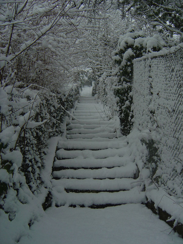 schnee (18)