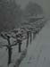 schnee (08)