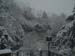 schnee (14)