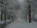 schnee (16)
